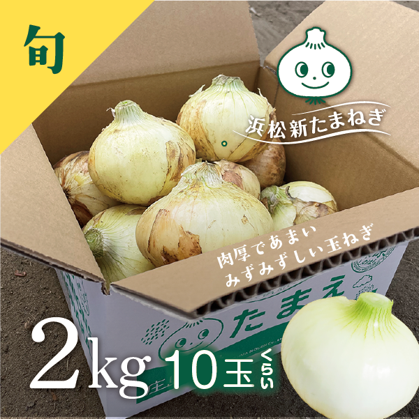 新たまねぎ たまえ 2kg