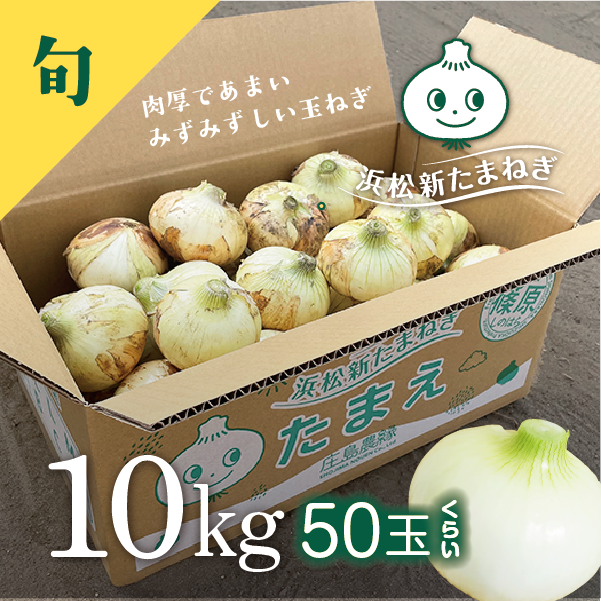 新たまねぎ たまえ 10kg