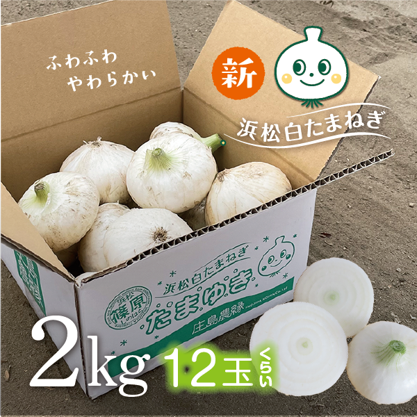 白たまねぎ たまゆき 2kg