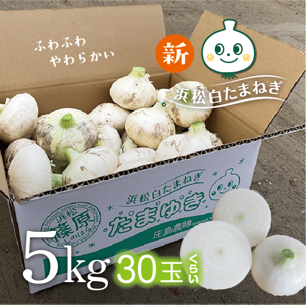 白たまねぎ たまゆき 5kg