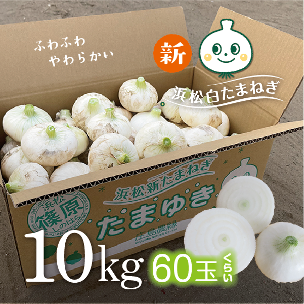 白たまねぎ たまゆき 10kg